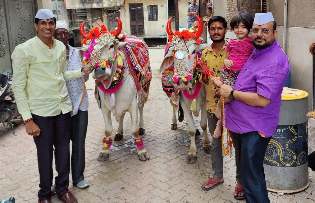 पाळधी येथील राहत्या घरी पालकमंत्र्यांनी केले सर्जा-राजाचे पूजन !