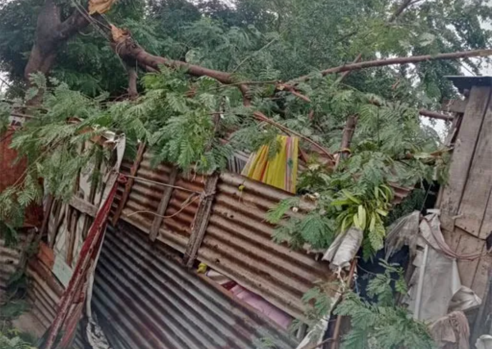 झाड कोसळून संजय निकुंभ यांचे घर पडले; थोडक्यात बचावले कुटुंब