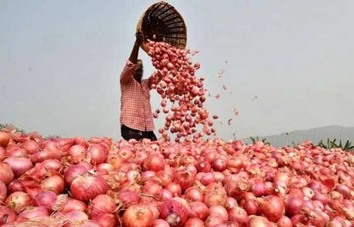 कांदा उत्पादक शेतकऱ्यांना मोठा दिलासा, प्रतिक्विंटल मिळणार ३०० रुपये सानुग्रह अनुदान