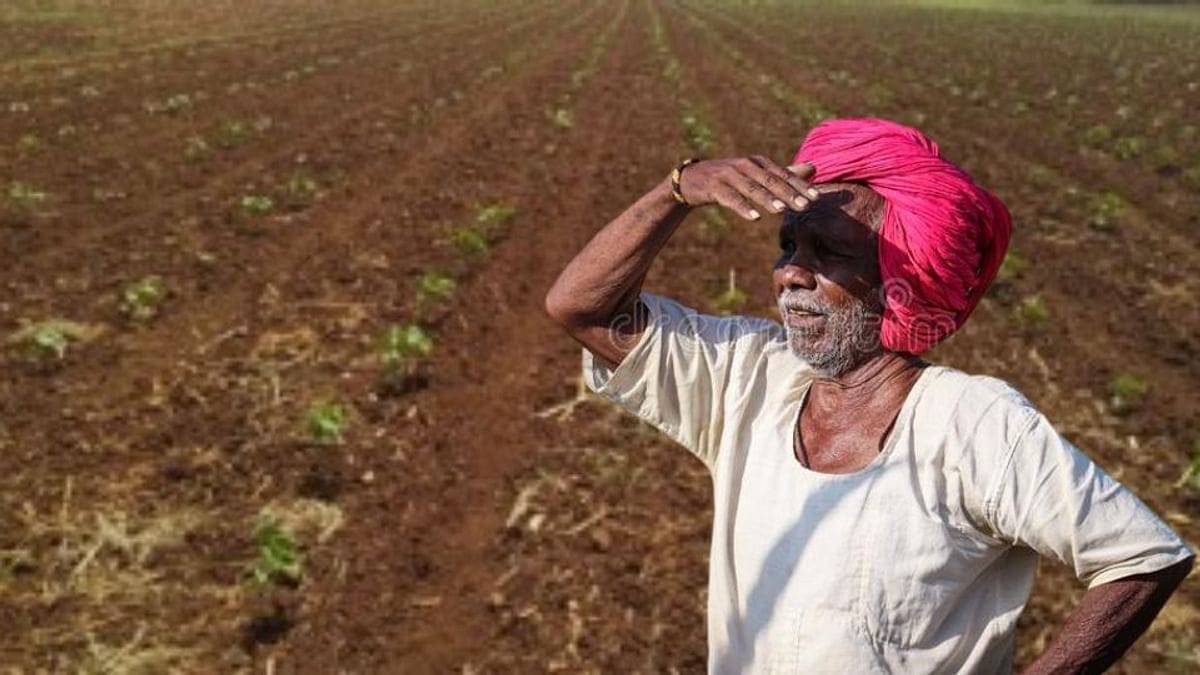 शेतकरी पावसाच्या प्रतीक्षेत खरिपाच्या पेरण्या लांबणीवर