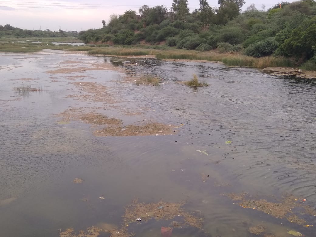 सुनसगाव वाघुर नदीच्या पात्रात मृत मासे फेकल्याने पाणी दूषित!