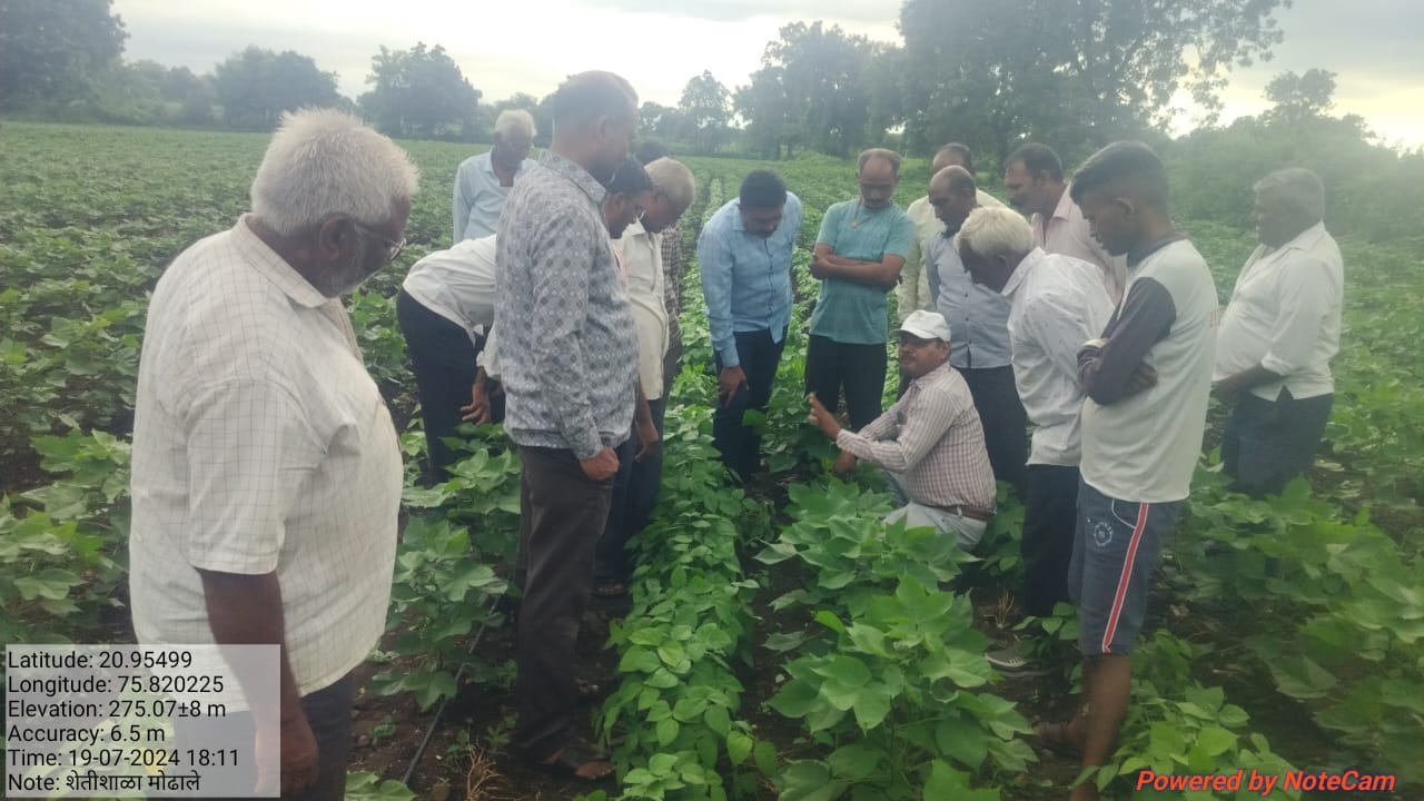 मोंढाळा येथे आत्मा अंतर्गत शेतीशाळा मार्गदर्शन.